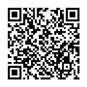 包括我身边一男一女两位苍茫境的仙家也不动声色二维码生成