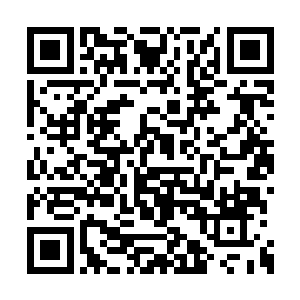 包括林青珊的过往和韩家对林青珊有恩这件事情二维码生成