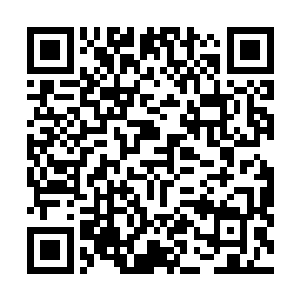 包括浙海市特别行动处的处长和杭州市特别行动处的处长二维码生成