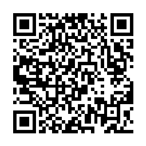 包括禁制之内圈了的一大圈地直接从这儿切割了下来二维码生成