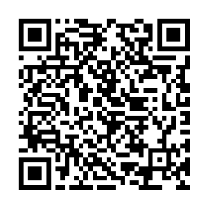 包括身体属性值还有各种物质奖励都可以全部带出二维码生成