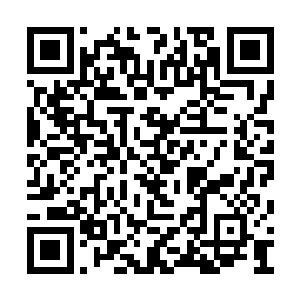 包括边学道在女生寝室楼下痴情苦等某人的桥段二维码生成