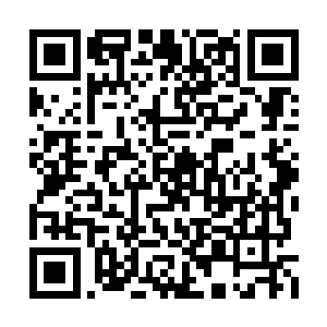 包括阿古斯和葛腊吉看着远方让他们惊恐的一幕二维码生成