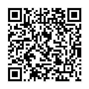 包括青丘在内的五大妖神几乎没有争执就做出了决断二维码生成