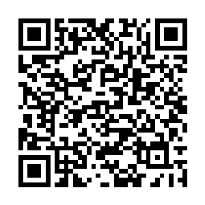 包括青色的光晕浓郁――让她追寻许久的灵气源头二维码生成