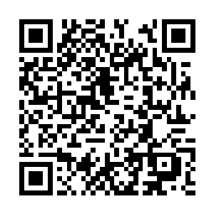 包裹着白色小蛇的光团与雷林手背的法阵越来越近二维码生成