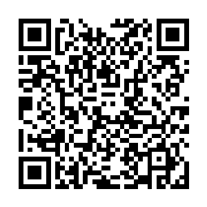 匆匆的下了楼车跳上战马就带着亲兵向佐领军本阵驰去二维码生成