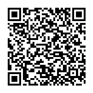 化为四百九十八只数尺大小红色飞火蚁和一只丈许大小的黑色飞火蚁二维码生成