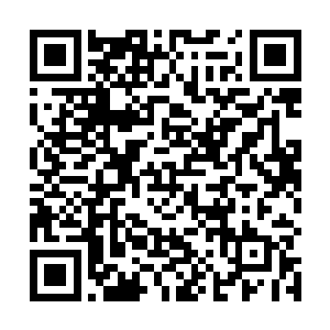 化作一条条温暖的热流飞快地融入到那团电浆能量之中二维码生成