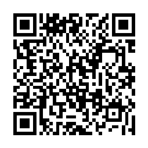 化作一道道狂暴的能量直接朝着巨章的身上席卷而去二维码生成