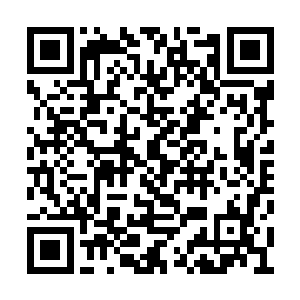 化神期修士的面子可要大过她结丹期修士的面子二维码生成