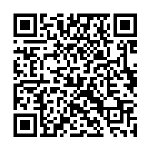 化神期的那十三位修士张潇晗根本就没有安排他们出来二维码生成