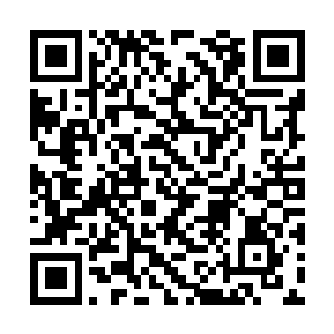 化验部的人第一时间就将报告送到了梅子的办公室二维码生成