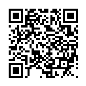 北山军校的梧桐树叶几乎飘零的差不多了二维码生成