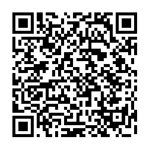 北戎统帅七皇子与北境王任琦宁在紫荆关会晤之事虽然没人知道他们谈了什么二维码生成