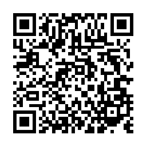 北方雪原里的十余座军府以及数量更多的军寨都开始了庆祝二维码生成