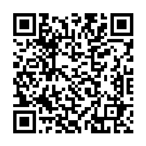 北极狼牙直接将自己和中心区域之间的关系给撇清了二维码生成