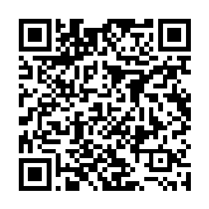 区区一个八转大帝怎么可能带给自己这样子的危险感呢二维码生成