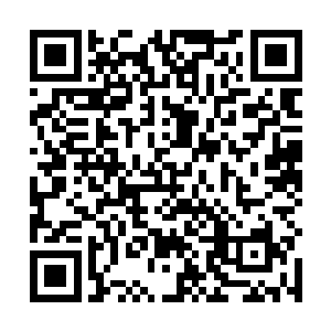 区区一个金莲一品的修士想凭一道拳罡伤他是不可能的二维码生成