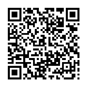 十一公主得知龙傲天已经被其他的姐妹邀请出去了二维码生成