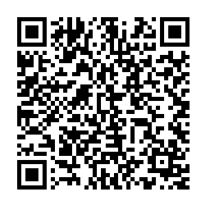 十一道仙器爆发出巅峰的攻击令速度极快的云宝宝虽然躲过去了大半二维码生成