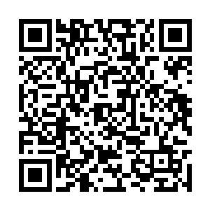 十一长老没想到自己居然掉入到了夏天的圈套之中二维码生成