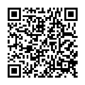 十三公主又明显是对柳泱泱口中的得宠两字特别在意二维码生成