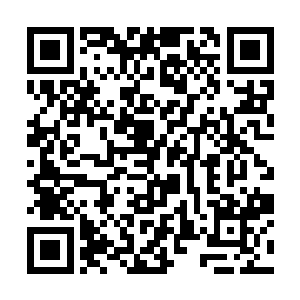 十三年前王妃联合清平候夫人容芳菲设计构陷你母亲二维码生成