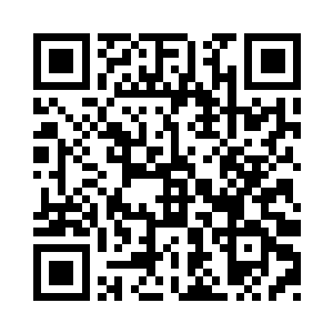 十个人悬挂了二十五万片树叶的歪脖树二维码生成