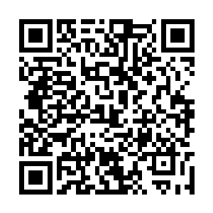 十九次郎正趴在地上一边反刍一边等着给他上菜呢二维码生成