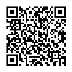 十二位仙君中期八位仙君初期巅峰和十一位仙君初期二维码生成
