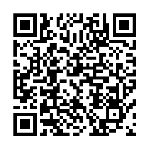 十二圣骑有没有达到神榜的实力苏凡等人也不是十分的清楚二维码生成