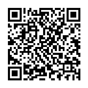 十二道恐怖的能量在空中交汇成一张巨网将秦宇给笼罩在其中二维码生成