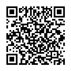 十五长老根本不信苏落这个黄毛丫头能救得了流星二维码生成