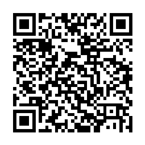 十六头花斑巨牛拿下了原野秘境中的霸主之一的泰坦二维码生成