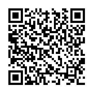 十几个红衣剑者一个个双眼带着丝丝的茫然和不解二维码生成