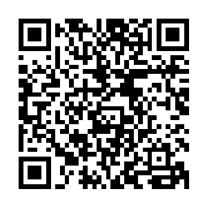 十几股法则之力交织而成的秩序神链与两大无上老祖瞬间相撞二维码生成