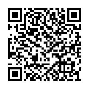 十几道漆黑如墨一般的黑色气息似蛟龙一般翻腾二维码生成