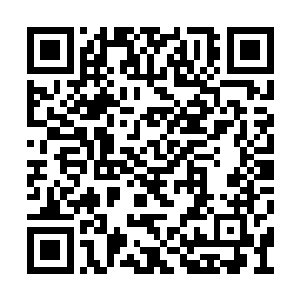 十四皇子的满月典礼只是邀请了后宫的诸多妃嫔二维码生成