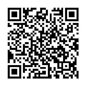 十多位距离较近躲闪不及的血族和骷髅战士顿被轰为齑粉二维码生成