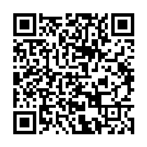 十年后您大可以来看看我们是否还是如此兄弟情深二维码生成