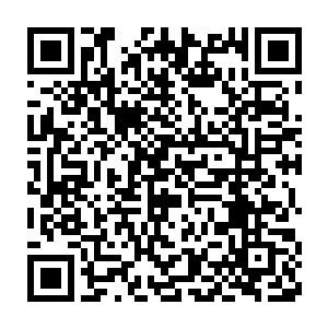 十条电鞭牙蛇窜入六号甲板到舰桥之间的通风管道和维修管道之中二维码生成