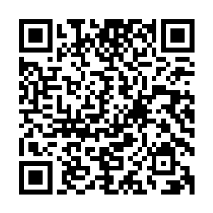 十粒大火行丹和十粒大土行丹便出现在天相居洞府的传送台上二维码生成