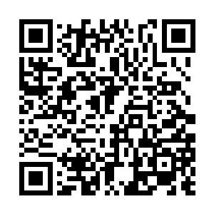 千万别这样啊……爹又会让我练字的……手很疼的二维码生成
