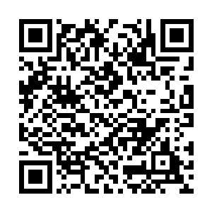 千夜也知道根本不可能从其他人那里得到什么答案二维码生成