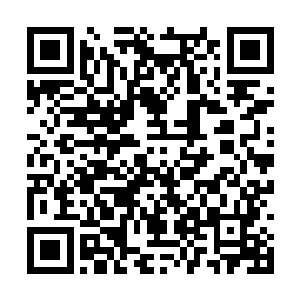 千山堂林家来了一个幻影骑士和两个大地两个黑铁二维码生成