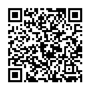 千手神王的气息再次出现在伽蓝和沈凡的魂力范围之内二维码生成
