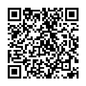 千泷梭带着两个人朝着李雨彤和紫霞所在的方位去了二维码生成