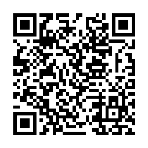 千面无常器灵化作一只巨大脸孔出现在徐天涯识海二维码生成