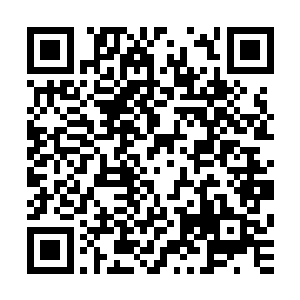 千鸟找了个干净的碗倒点花生酱然后放了黑果汁还有酸汁进去二维码生成